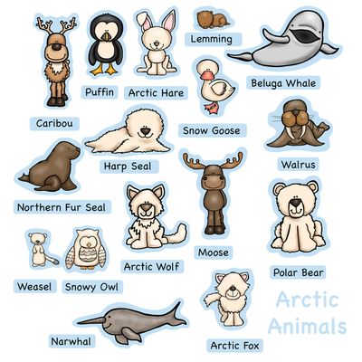 16 Arctic Animals & Their Names Felt Figures Flannel Board Kids Story Set Activity Pages (Precut Ready to Play)