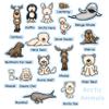 16 Arctic Animals & Their Names Felt Figures Flannel Board Kids Story Set Activity Pages (Precut Ready to Play) view 1