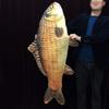 Appearing Fish (130cm,Large) - Stage Magic / Magic Trick / Magic Props / Party Trick / Magic Gimmick view 1