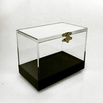 Pro Switch Box - Close Up Trick / Magic Trick / Magic Props / Party Trick / Magic Gimmick