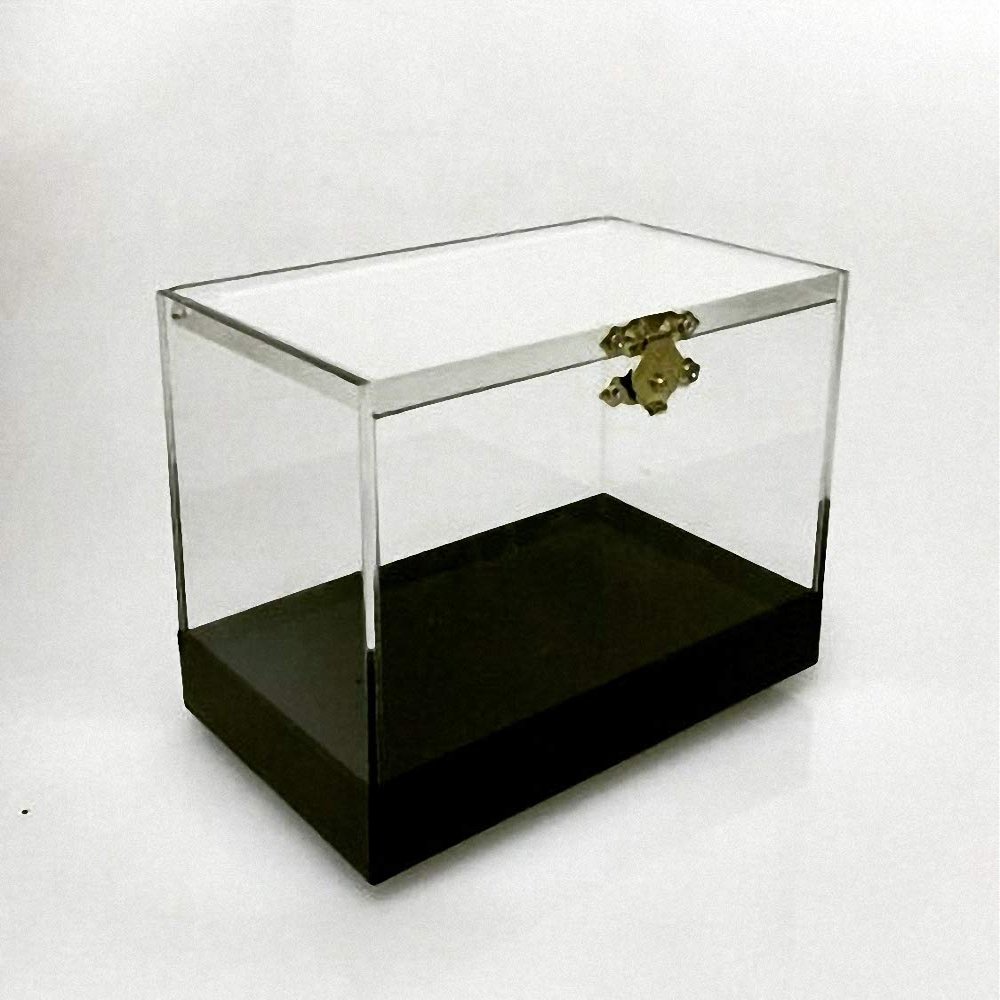 Pro Switch Box - Close Up Trick / Magic Trick / Magic Props / Party Trick / Magic Gimmick