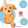 Hopearl Talking Puppy Repeats What You Say Dog Nodding Electric Interactive Animated Toy Speaking Plush Buddy Gift for Toddlers, Brown, 7'' view 4