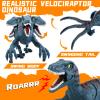 APOBATK Large Remote Control Velociraptor Toy - Realistic Jurassic Walking Dinosaur with Lights & Sounds - STEM Toy for Boys Ages 5-7 & 8-12 Blue view 3