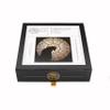 Wooden Jigsaw Puzzle for Adults - Cathedral Cat - 372 Wooden Pieces. Made in USA by Nautilus Puzzles view 1