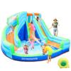 Doctor DolphinIn Bounce House,Water Jumper Slide,Water Bounce Slide House,Inflatable Water Park with Splash and Slide view 1