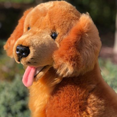 Auswella Red Golden Retriever Jack - Adorable and Realistic Plush Toy- 16 Inches