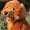 Auswella Red Golden Retriever Jack - Adorable and Realistic Plush Toy- 16 Inches view 1