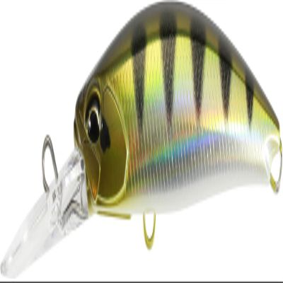 FANGBAIT 80 DR - ANA3344 Archer Fish