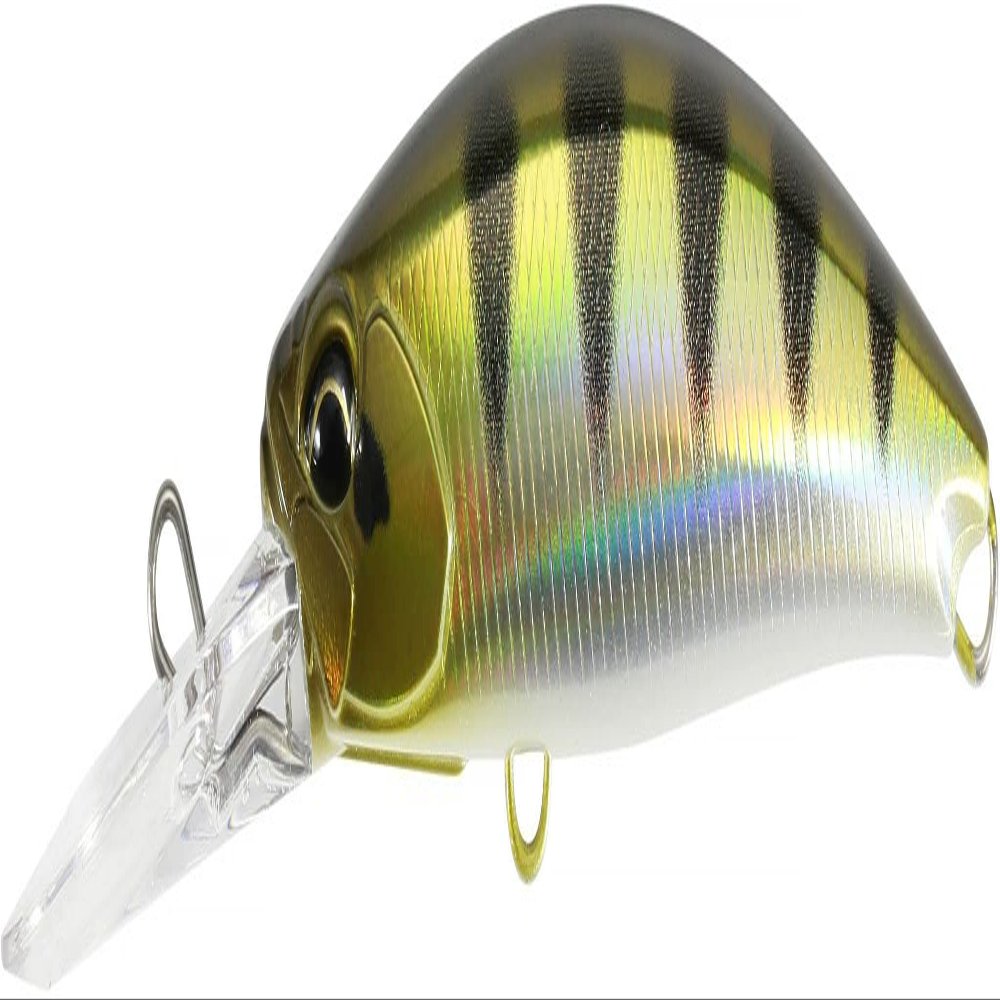 FANGBAIT 80 DR - ANA3344 Archer Fish