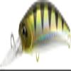 FANGBAIT 80 DR - ANA3344 Archer Fish view 1