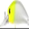 FANGBAIT 80 DR - ACC3302 Albino view 1