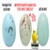 Plastic Canary Fake Dummy Eggs Stop Brooding Laying! 7 Realistic Speckled Blue-Green Safe Not Painted Non-Toxic Solid Dummy Fake Eggs DE Brand USA view 2