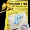 Plastic Canary Fake Dummy Eggs Stop Brooding Laying! 7 Realistic Speckled Blue-Green Safe Not Painted Non-Toxic Solid Dummy Fake Eggs DE Brand USA view 3
