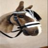 Brown Stick Hobby Horse A3 | Realistic Horse Head on Stick | Hobby Horse Whith Bridle view 2