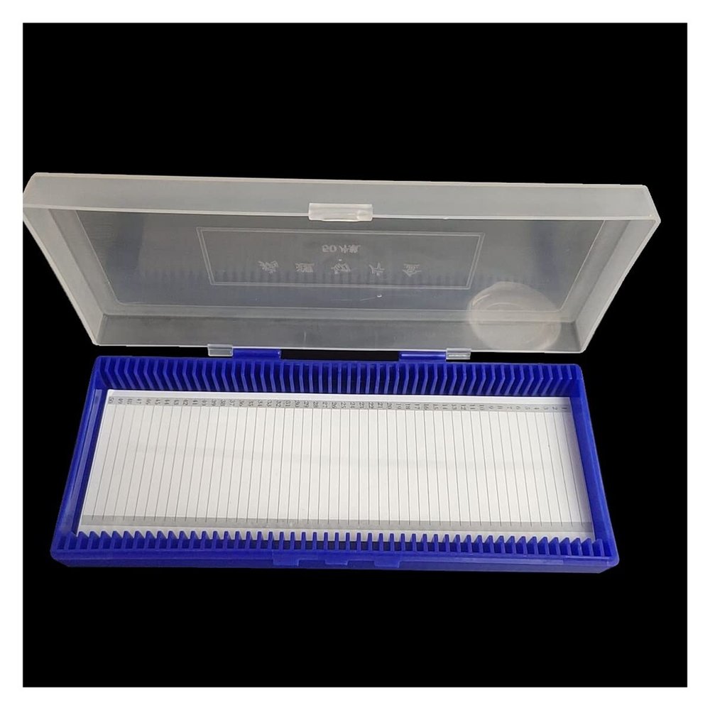 Lab Microscope Slides Microscope Slide Box Biological Holds Up to 50 Pcs Slides Microscope Glass Slide Box Microscope Parts