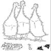 CREATIVE EXPRESSIONS Clear Stamp 4X6 James Bill, Fuzzie Friends Morris James & Bill Ducks view 1