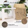 Defined Deco 9.25" x 9.25" x 3.25" Large Adventure Fund Moeny Box, Decoration Shadow Wooden Money Box, Travel Fund Card Box with World Map, Piggy Bank Wood Box for Coins Dollars and Tickets view 3