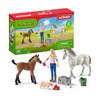 Schleich Farm World 9pc. Vet Visit Playset with Piglet, Mare, and Foal Horse Figurines - Detailed and Durable Farm Animal Toy Set, Fun and Educational Play for Boys and Girls, Gift for Kids Ages 3+ view 1