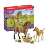 Schleich Horse Club Sarah's Baby Horse Animal Care Figurine Toy Set - Little Farm Animal Care Horse, Foal, and Puppy with Accessories Play Toy Set for Boys and Girls, Gift for Kids Age 5+ view 1