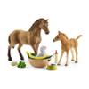 Schleich Horse Club Sarah's Baby Horse Animal Care Figurine Toy Set - Little Farm Animal Care Horse, Foal, and Puppy with Accessories Play Toy Set for Boys and Girls, Gift for Kids Age 5+ view 4