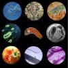 Lab Microscope Slides Microscope 1200X Zoom Monocular Biological Microscope Illuminated Beginner Children Student Kids Microscope Parts (Color : Plastic Body) view 3