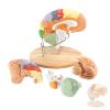 BEAMNOVA Life Size Human Brain Model + 2 Times Life Size Brain Model view 3