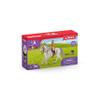 Schleich Horse Club - 7 PC Rider and Horse Toy Playset with Accessories - Realistic Rider and Lipizzaner Mare Figurine - Fun Toys for Girls and Boys - Collectible Figures for Kids Ages 5+ - 41433 view 3