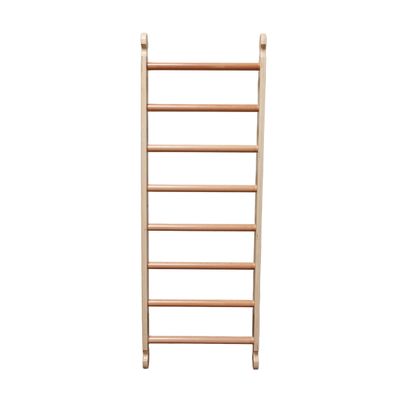 Little Partners Kids Climbing Ladder - Wooden Activity Climbing, in-House Play Structure for Toddlers (Perfect add-on for Learn N Climb Triangle and Learning Tower) (Natural)