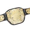 Spinning Wrestling Championship Toy Belt with Four Center Plates view 4