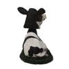 Animal Den Cow Bobblehead Figure Statue for Car Dashboard Holstein view 3