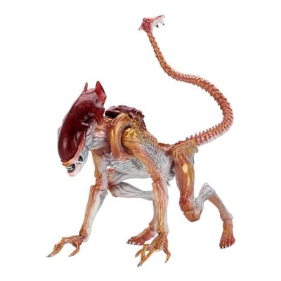 Aliens - 7" Scale Action Figure - Ultimate Kenner Tribute Panther Alien
