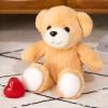 CozyWorld 12" Heartbeat Recordable Teddy Bear,Voice Recorder Plush Toy Stuffed Animal Soft Fuzzy Doll Gifts Messages Recording Playback for Kids Birthday Children's Day view 4