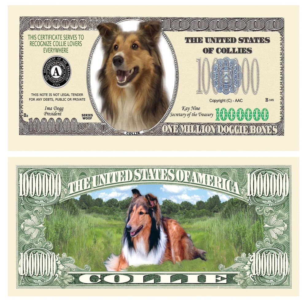 American Art Classics Collie Dog Million Dollar Bill - (Pack of 100) - Best Gift Or Keepsake for Collie Lovers