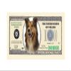 American Art Classics Collie Dog Million Dollar Bill - (Pack of 100) - Best Gift Or Keepsake for Collie Lovers view 2
