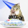 White Glitter Cake Topper Cat Hat Theme Decor Supplies Baby Shower Boys Girls Happy Birthday Family Party Decorations view 3