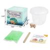icotoibabie Crystal Growing Toys for Kids - Vibrant Colorful Crystal Hedgehog to Grow,Science Experiments Learning and Education for Kids STEM Gifts for Boys & Girls 8 Years + (Moss Green) view 3