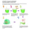 icotoibabie Crystal Growing Toys for Kids - Vibrant Colorful Crystal Hedgehog to Grow,Science Experiments Learning and Education for Kids STEM Gifts for Boys & Girls 8 Years + (Moss Green) view 4