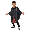 Rubie's Official Harry Potter Gryffindor Child Poncho, Kids Fancy Dress, Age 3-4 years Halloween Halloween view 1