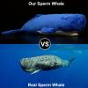 Frankiezhou Home Realistic Sperm Whale Plush Toy - Blue Long Lifelike Sperm Whale Stuffed Toys, Super Soft Sea Physeter Macrocephalus Dolls Plush Pot Toy Gift Collection for Kids, 21Inches view 3