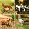 Zomiboo 26 Pcs Fox Figurines Set with Miniature Trees Arctic Red Fox Models Cake Toppers for Nature Themed Decoration and Display for Halloween Christmas Birthday Party Favors view 4