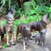 Gemini&Genius Howling Wolf Animal Toys, Family Playset, Realistic North American Forest Toys for Boys and Girls, Gray Wolf Toy Figurines, Ages 3+ (4 Pcs) view 2