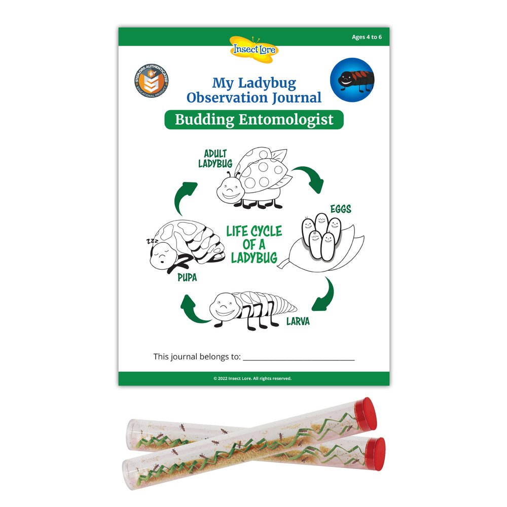 Insect Lore Two Tubes of Ladybug Larvae with STEM Activity Journal - Raise, Observe and Release Pink Spotted Ladybugs - Grown in The USA - Ladybug Kit Refill