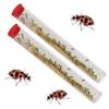 Insect Lore Two Tubes of Ladybug Larvae with STEM Activity Journal - Raise, Observe and Release Pink Spotted Ladybugs - Grown in The USA - Ladybug Kit Refill view 4