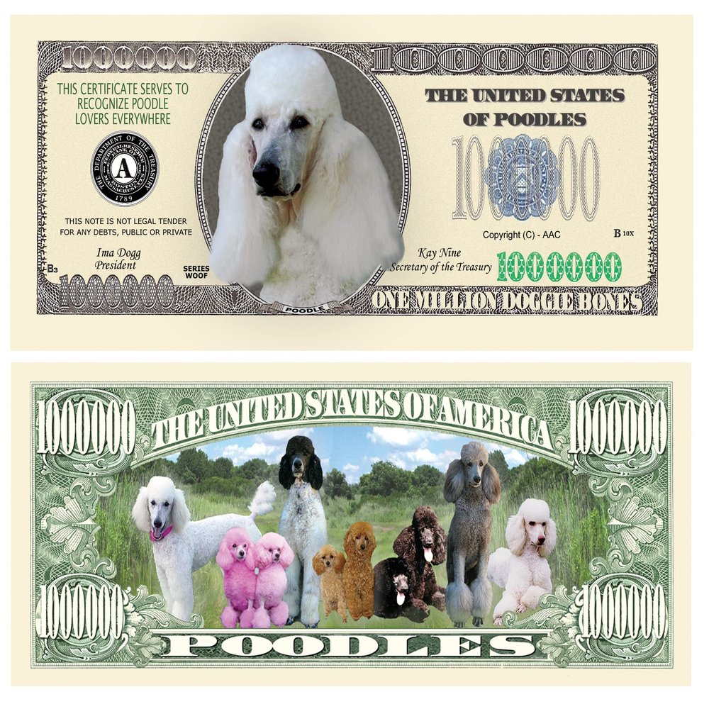 American Art Classics Pack of 100 - Poodle $Million Dollar$ Novelty Bill Collectible - Best Gift for Poodle Lovers