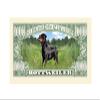 American Art Classics Pack of 25 - Rottweiler $Million Dollar$ Novelty Bill Collectible - Best Gift for Rottweiler Lovers view 3