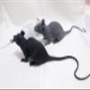 3PCS Super Large Artificial Rats Halloween PVC Fake Rat Suit Novelty Simulation Mouse Model Terrible Prank Props for Party Funs Garden Lawn Decorations Micro Landscape Accessories (Grey) view 3