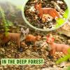 Aoriher 12 Pcs Fox Toy Figures Set Realistic Red Arctic Fox Animal Figures Cake Topper Small Jungle Zoo Play Set for Party Favors Educational Toy Christmas Birthday Supplies view 4