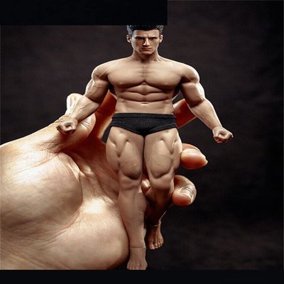 1/12 Scale Action Figure,6inch Male/Female Super-Flexible Seamless Body Doll Toy Collection (TM02A Strong Male Action Figure)