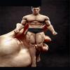 1/12 Scale Action Figure,6inch Male/Female Super-Flexible Seamless Body Doll Toy Collection (TM02A Strong Male Action Figure) view 1
