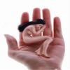 1/12 Scale Action Figure,6inch Male/Female Super-Flexible Seamless Body Doll Toy Collection (T01A Pale Skin Female Action Figure) view 1